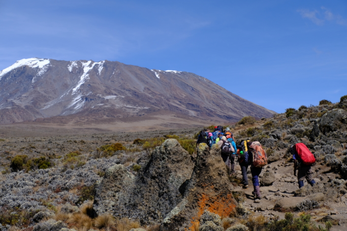 Kilimanjaro