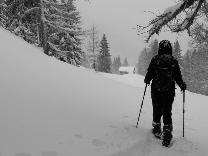 Schneeschulaufen im Schneefall