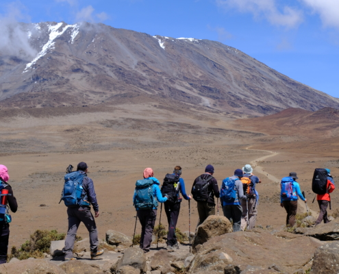 Kilimanjaro