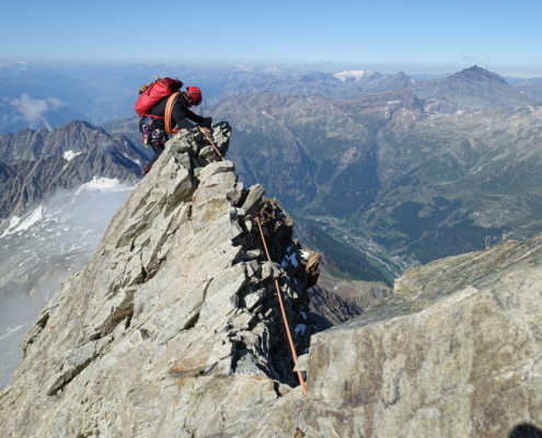 Bitschhorn