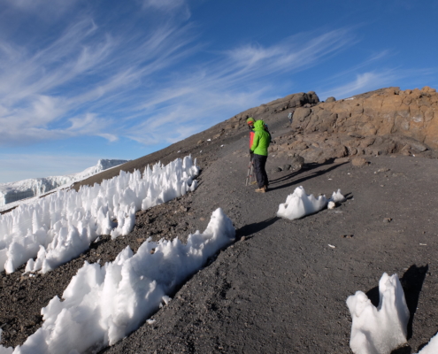 Kilimanjaro