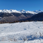 View from Veysonnaz