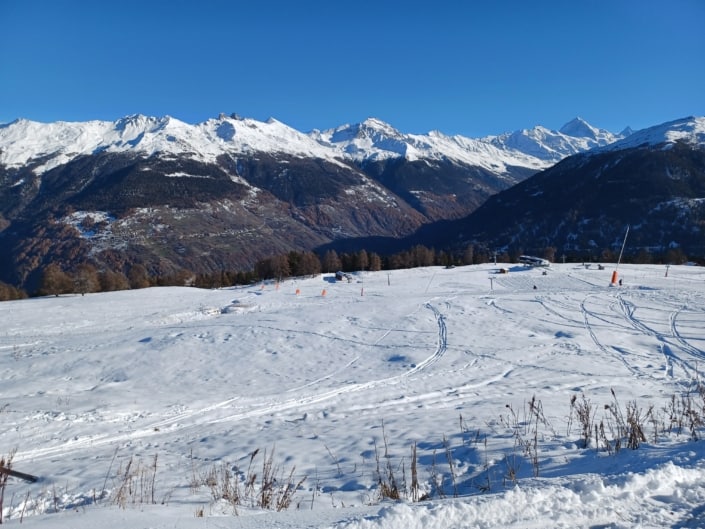 View from Veysonnaz